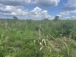 Shamba Linauzwa Kiwangwa Bago Lenye Hati Miliki