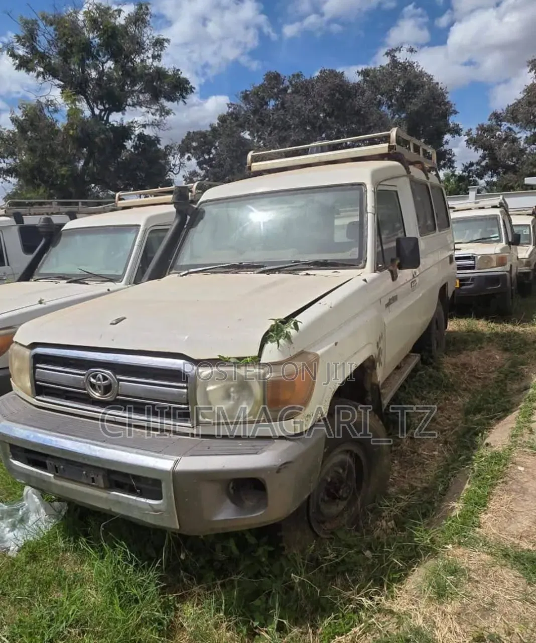 Toyota Land Cruiser 2010 Pearl