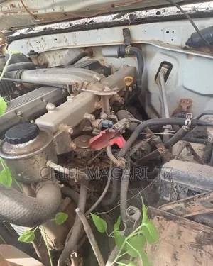 Toyota Land Cruiser 2010 Pearl