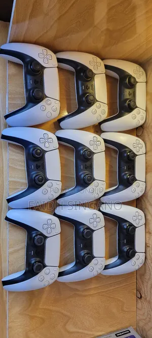 Ps4 and Ps5 Controller