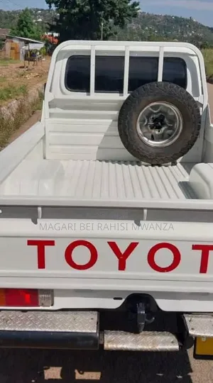 Toyota Land Cruiser 1999 White