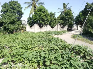 Kiwanja Mita 25 Kwa Mita 15, Kinauzwa Milioni 8.5 Ukonga Bombambili.