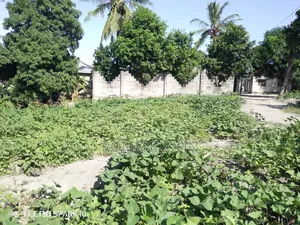 Kiwanja Mita 25 Kwa Mita 15, Kinauzwa Milioni 8.5 Ukonga Bombambili.
