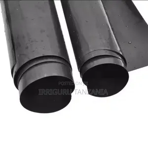 Black Pond Liner