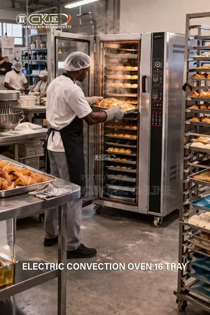 , *Convection Au Combi Ovens* *“Tray 12”* - Ya Umeme TSH 10,845,000
