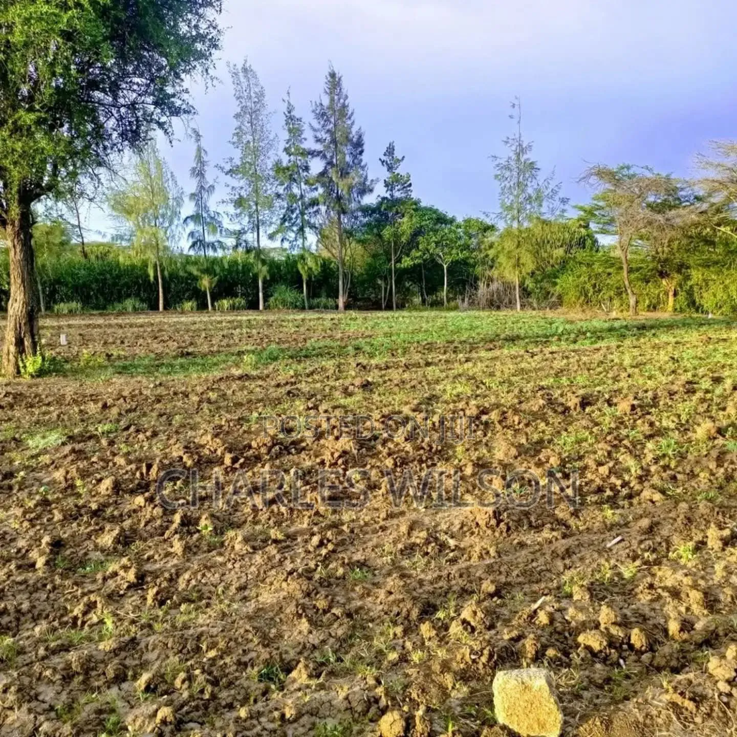 Kiwanja Arusha Matevezi