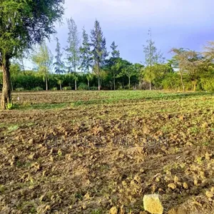 Kiwanja Arusha Matevezi
