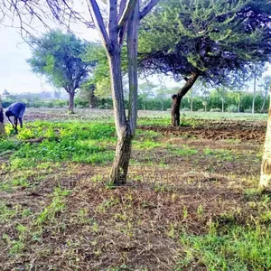 Kiwanja Arusha Matevezi
