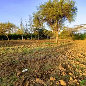 Kiwanja Arusha Matevezi
