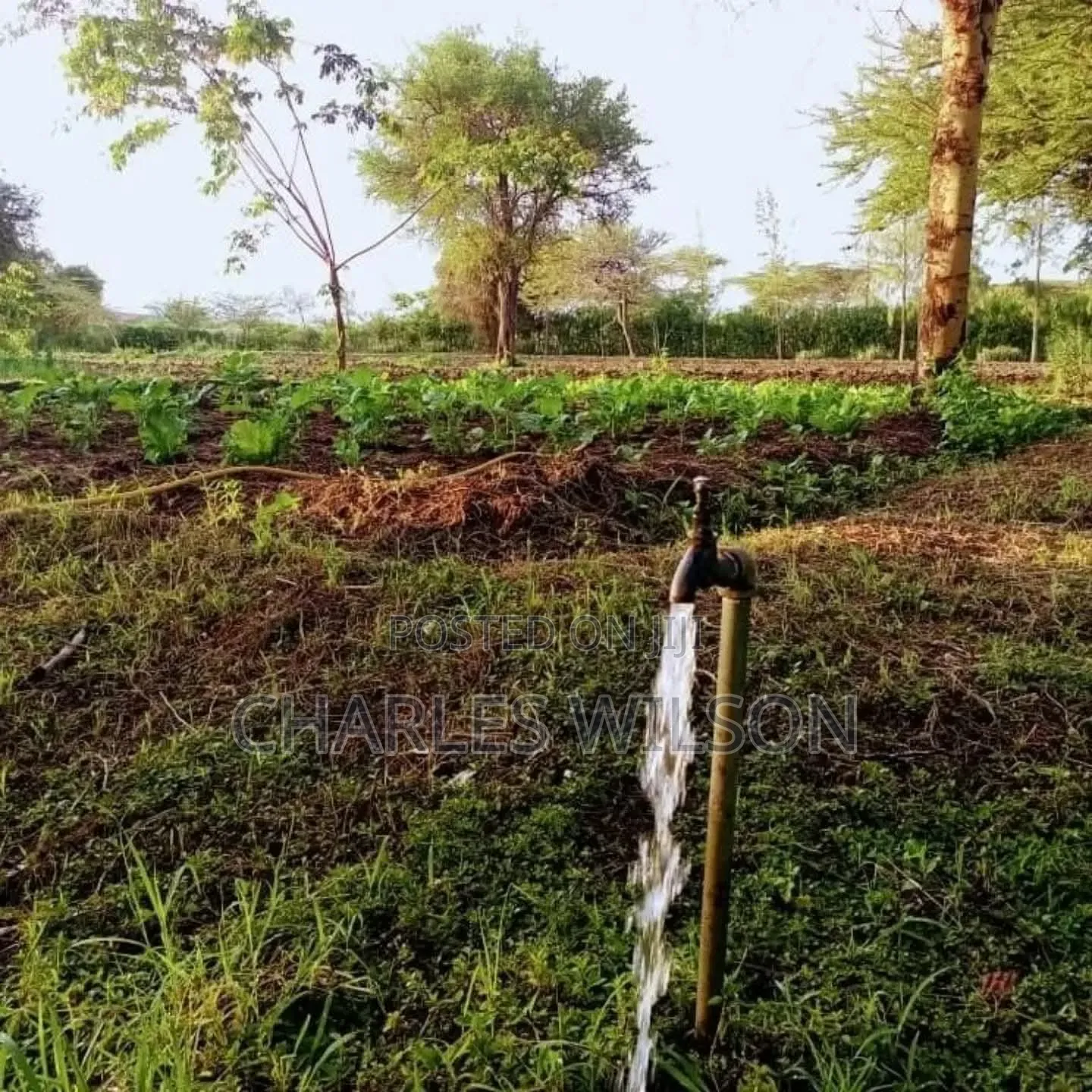 Kiwanja Arusha Matevezi