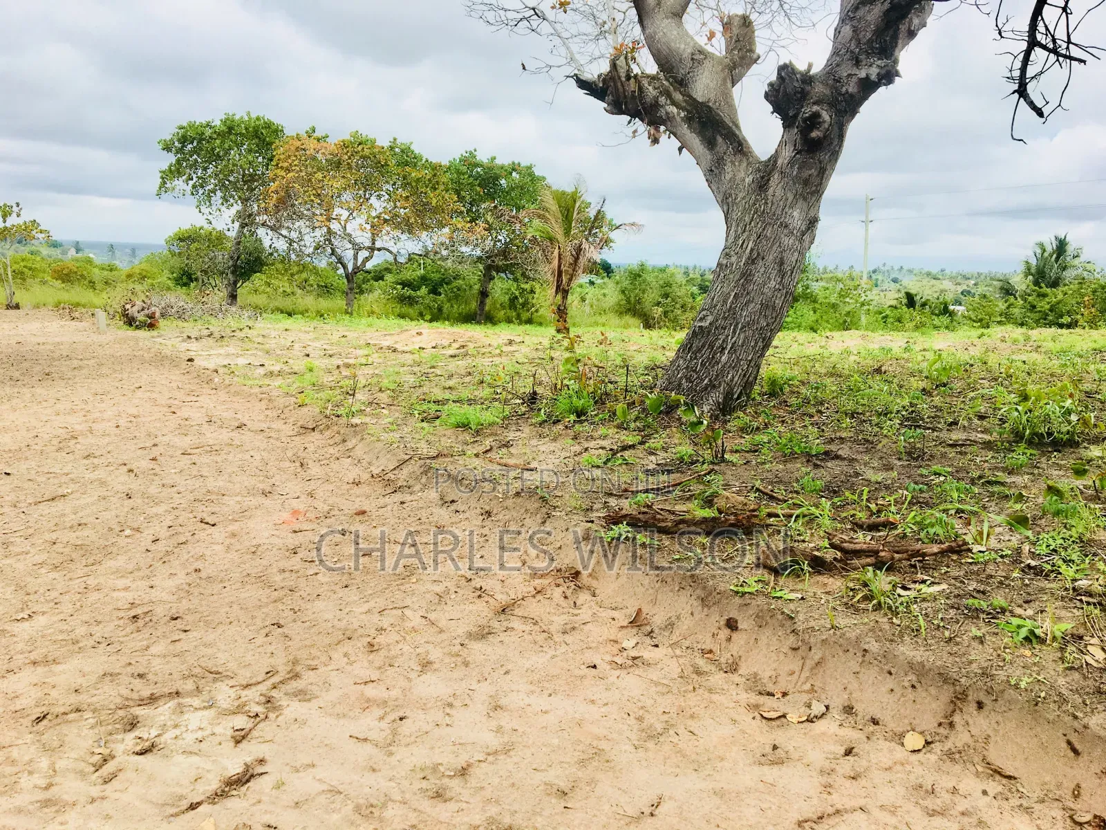 Industrial Plot for Rent