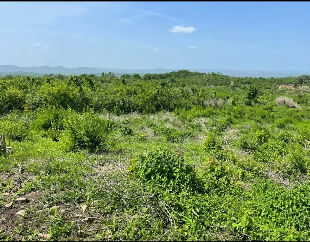 2000 Acres Farm With Songas Gas Access and Nearby River