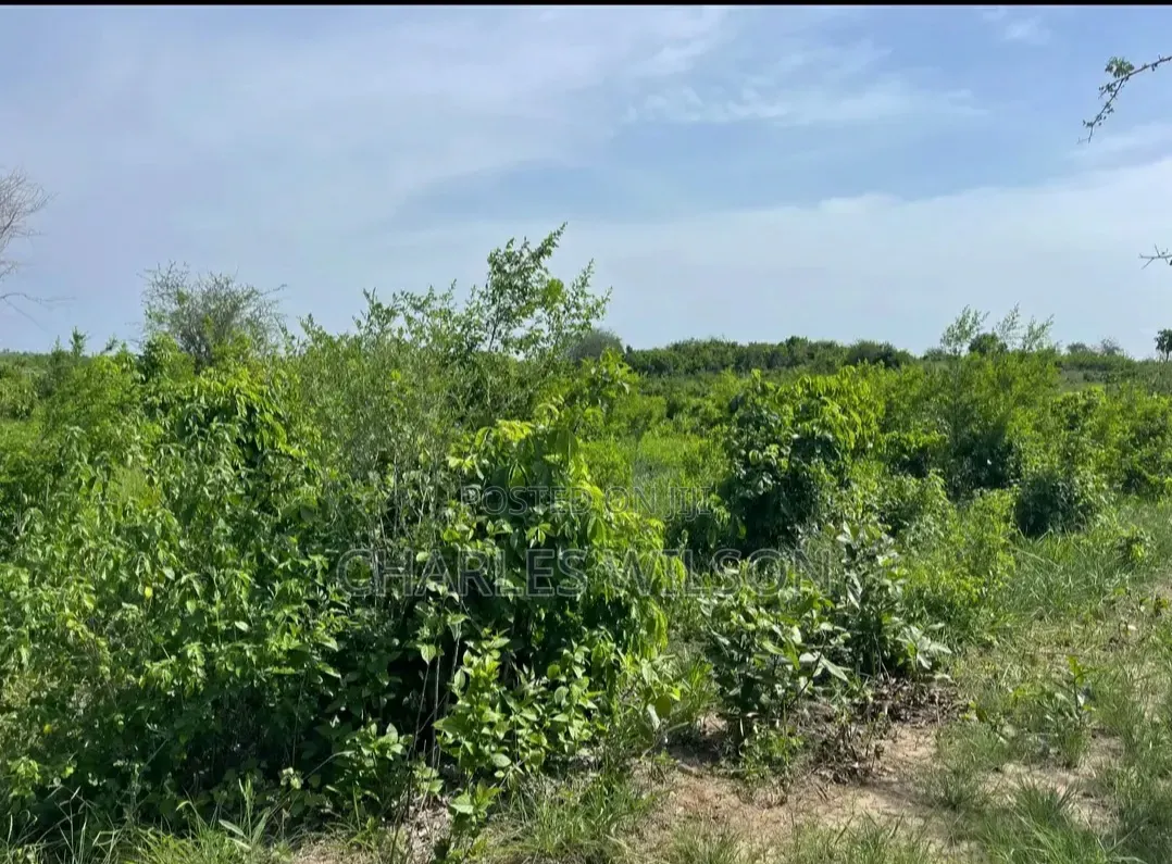 2000 Acres Farm With Songas Gas Access and Nearby River