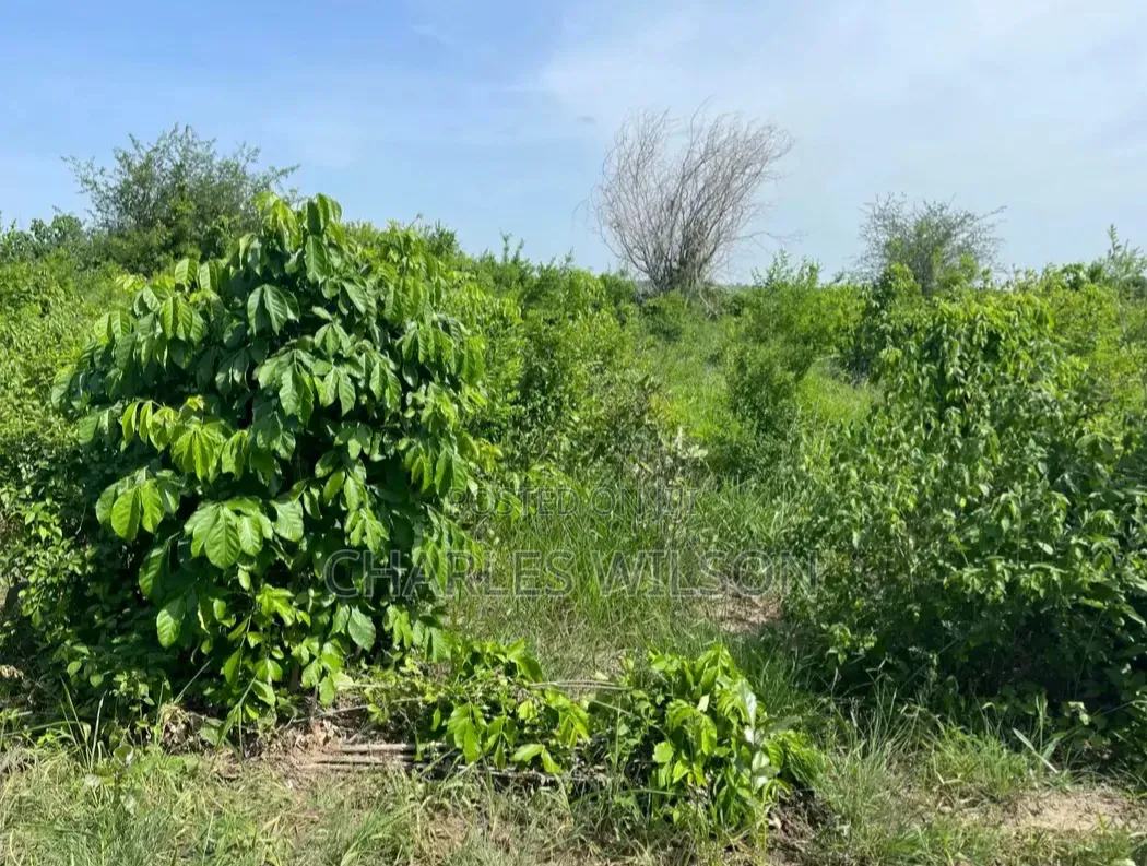2000 Acres Farm With Songas Gas Access and Nearby River