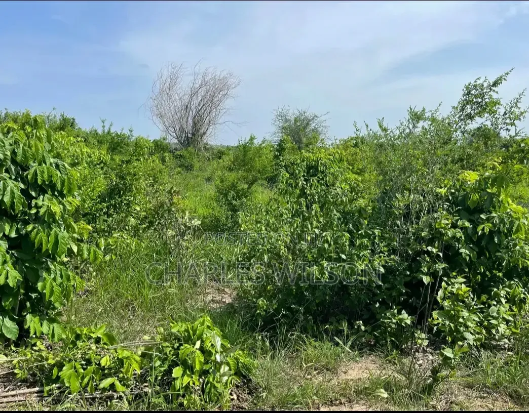 2000 Acres Farm With Songas Gas Access and Nearby River