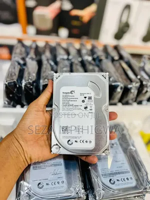 Sea Gate Camera Hard Disc