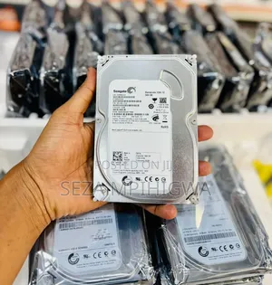 Sea Gate Camera Hard Disc