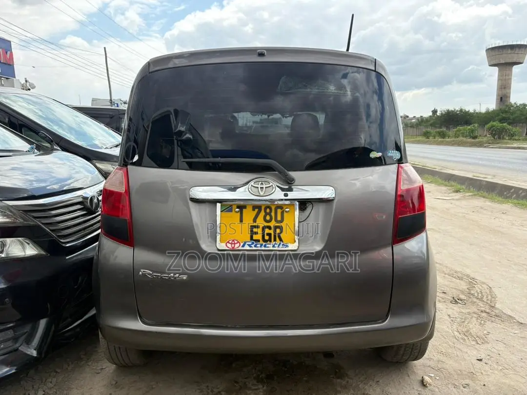Toyota Ractis 2007 Gray