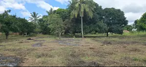 Kiwanja Msijute 1.2 Acres