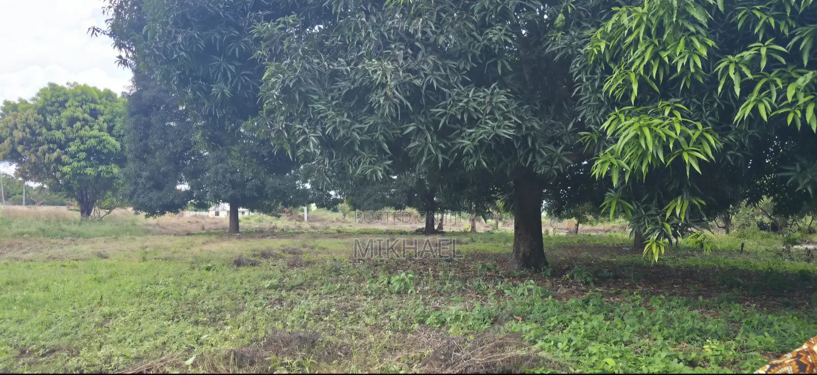 Kiwanja Msijute 1.2 Acres