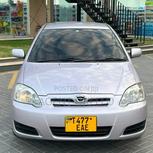 Toyota Corolla RunX 2005 Silver