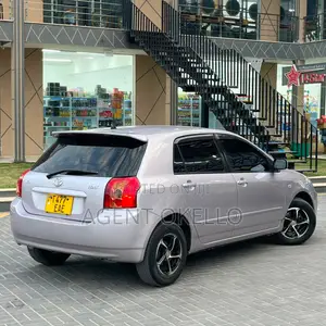Toyota Corolla RunX 2005 Silver