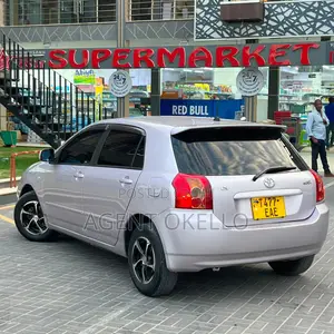 Toyota Corolla RunX 2005 Silver