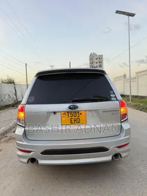 Subaru Forester 2010 Gray