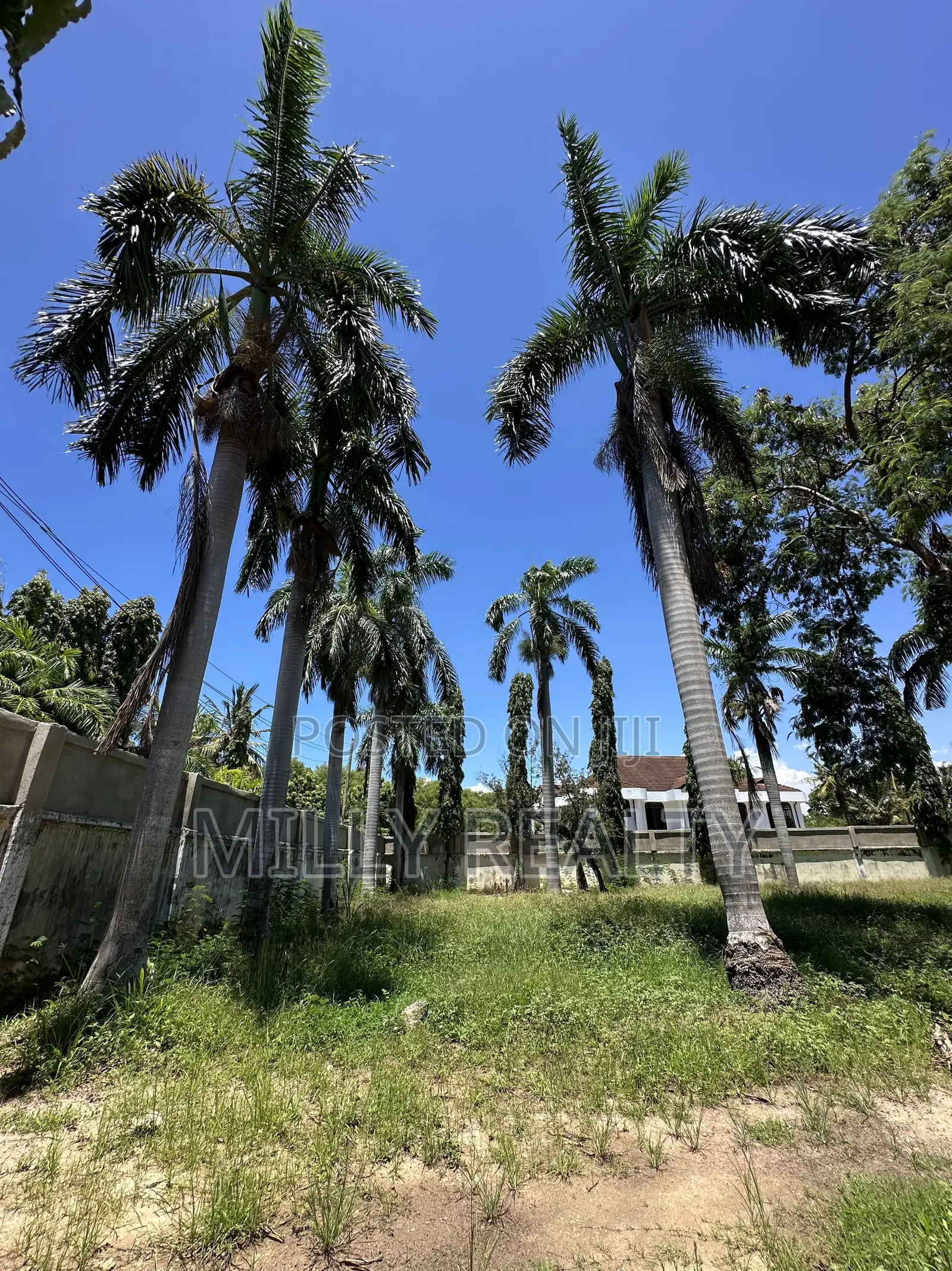 3rd Beach Plot for Sale Mbezi Beach Kwa Zena