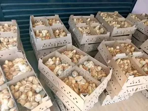 Vifaranga Vya Broiler,Layers Na Chotara (Sasso Na Kroiler)