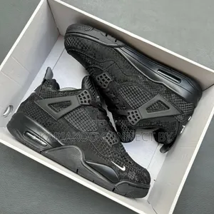 Air Jordan 4 Special Edition