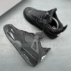 Air Jordan 4 Special Edition