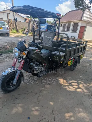 Shineray XY250GY-6B 2026 Green