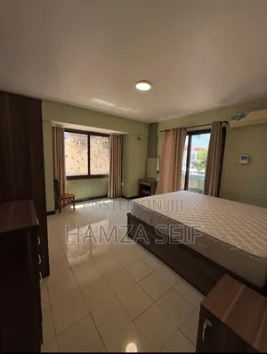 Furnished 2bdrm House in Kariakoo for rent