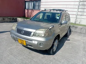 Nissan X-Trail 2002 Silver