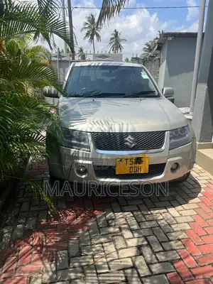 Suzuki Grand Vitara 2008 Silver