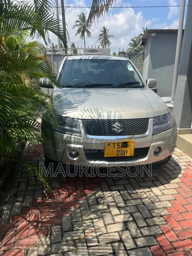 Suzuki Grand Vitara 2008 Silver