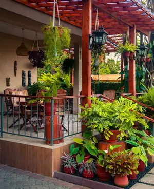 14bdrm House in House For Sale, Mikocheni for sale