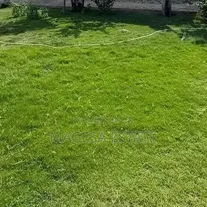 Land For Sale In Mbweni
