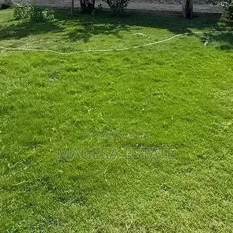 Land For Sale In Mbweni