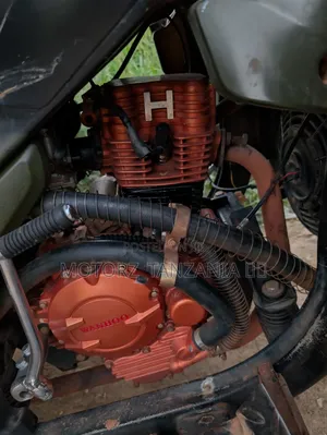 Tricycle 2026 Green