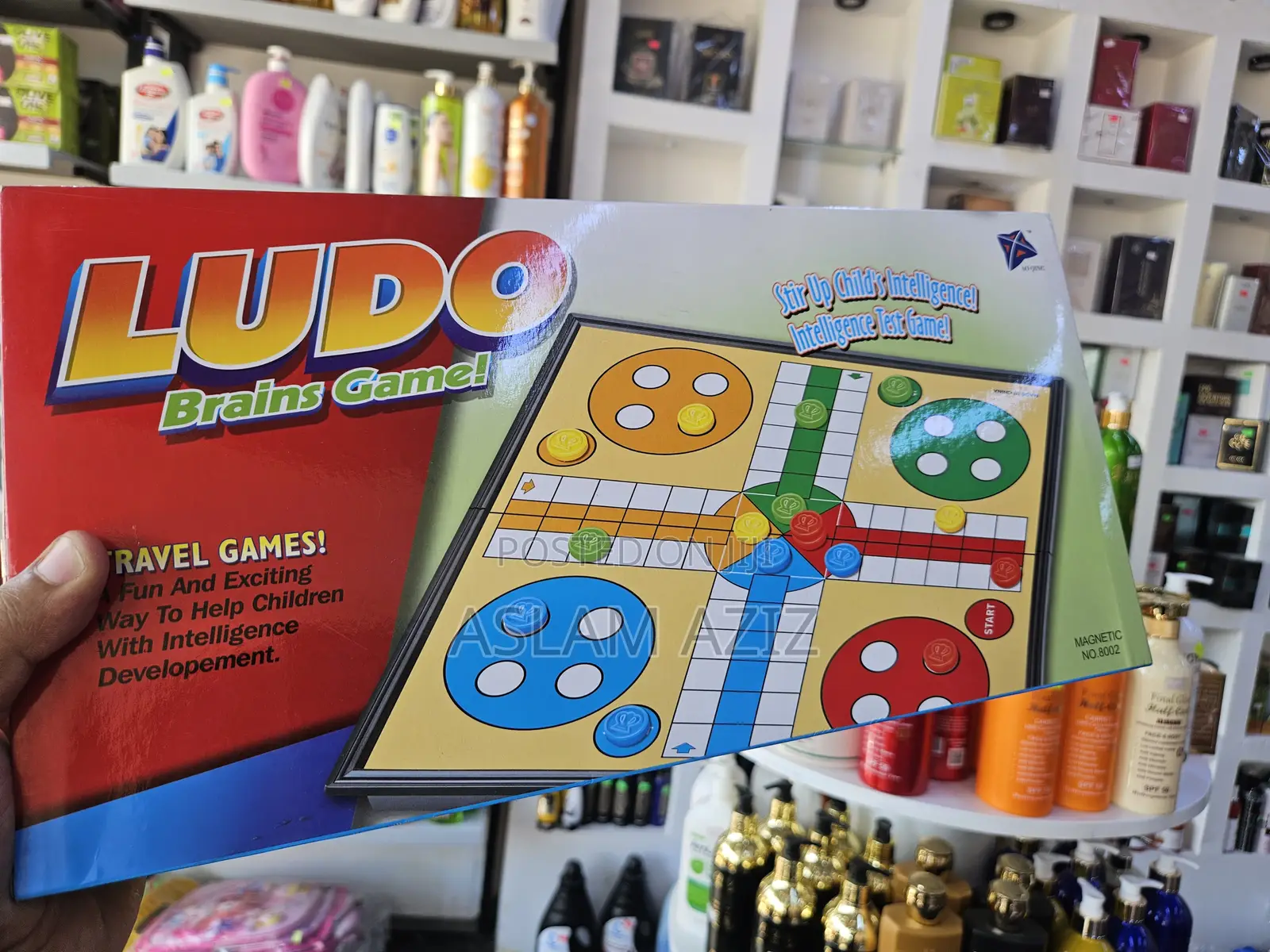 Ludo Brains Game (Magnetic Board)