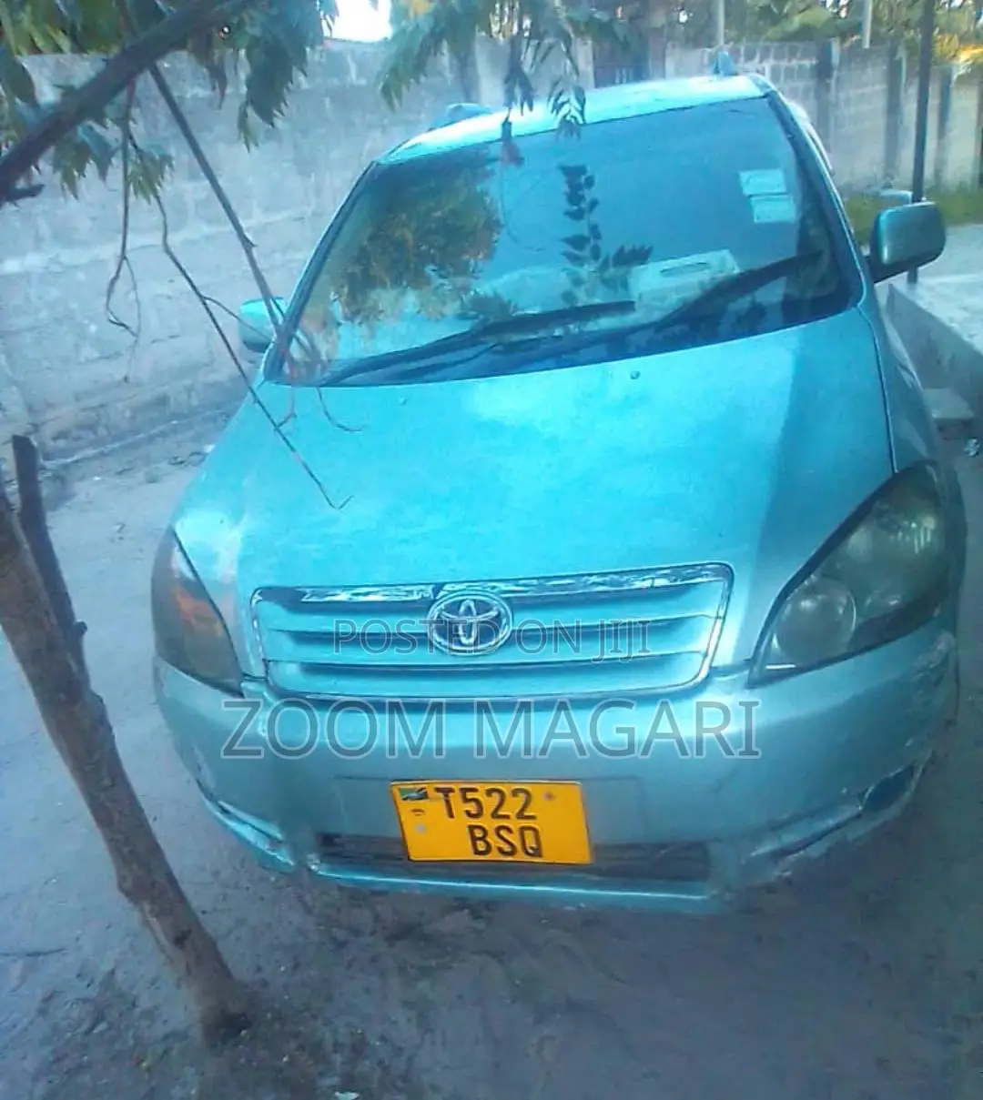 Toyota Ipsum 2003 Blue