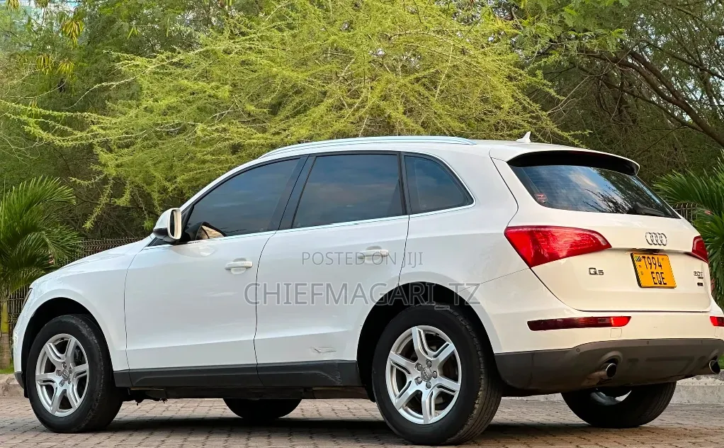 Audi Q5 2009 Pearl