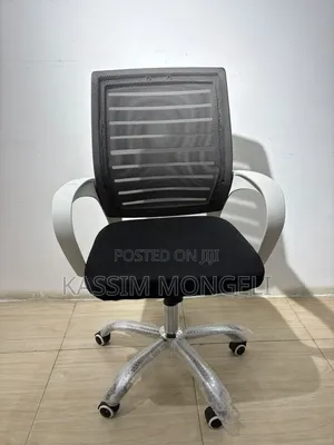 Ergonomic Chairs