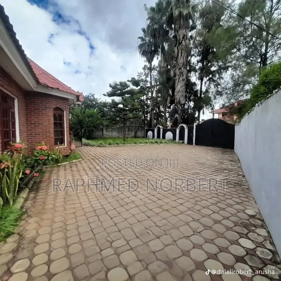 3bdrm House in Tanzania Real, Central Business Area for rent