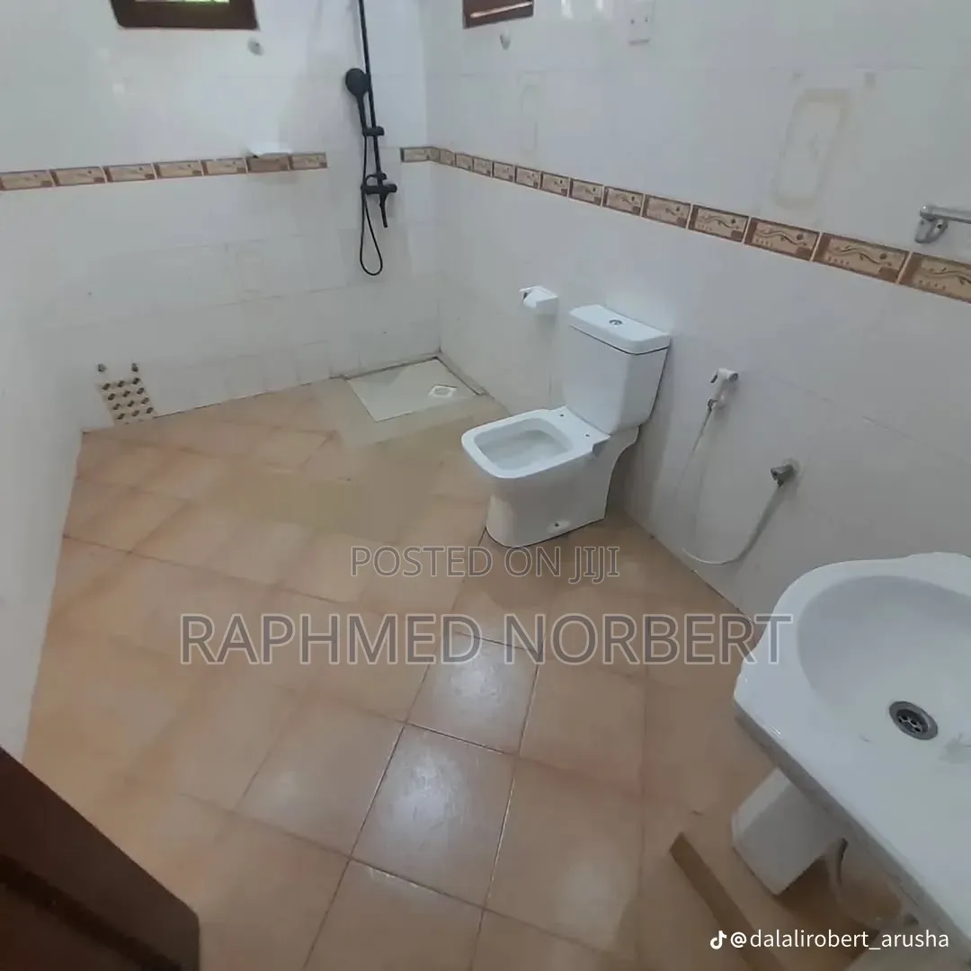 3bdrm House in Tanzania Real, Central Business Area for rent