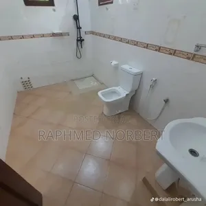 3bdrm House in Tanzania Real, Central Business Area for rent
