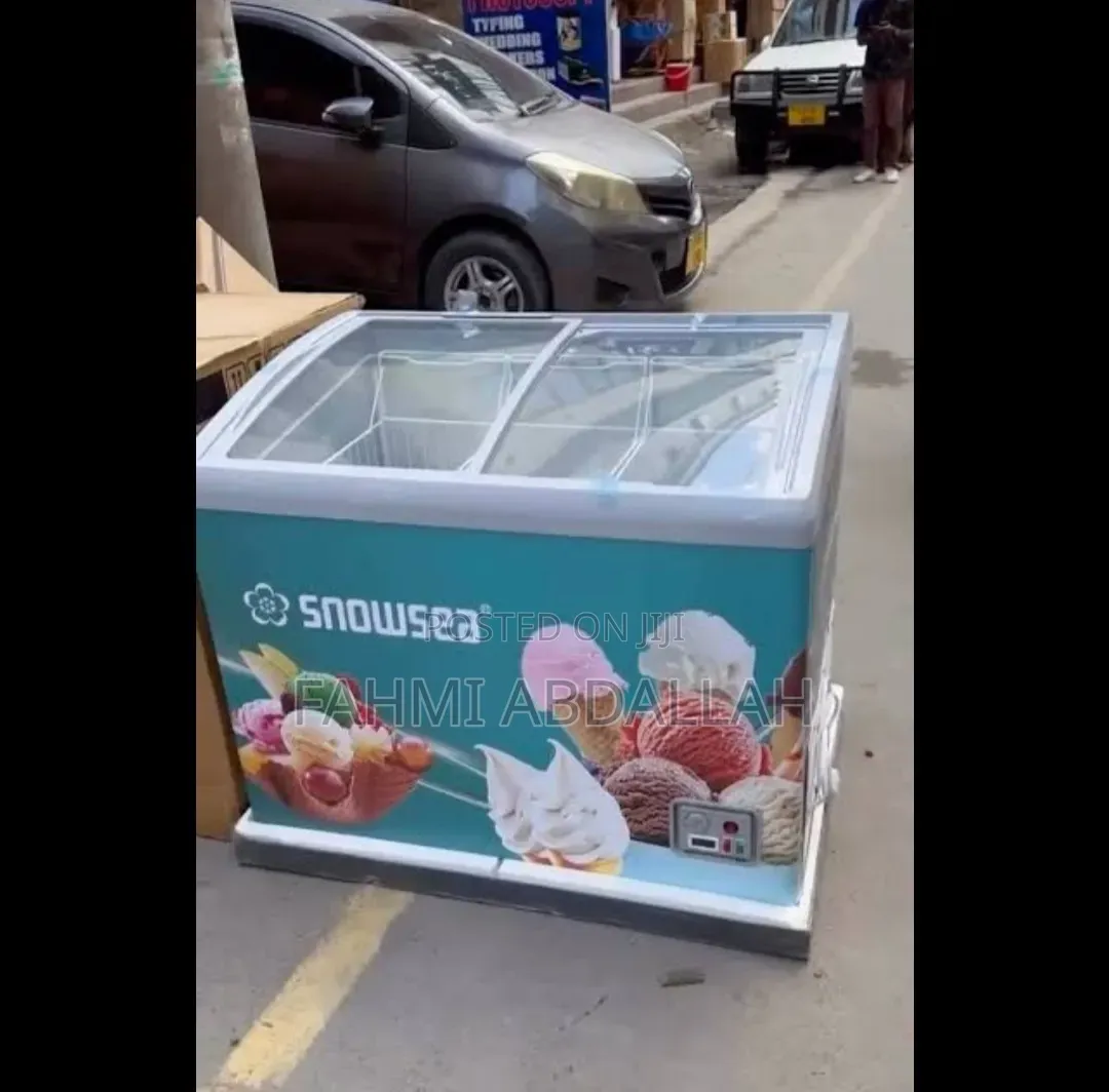 Snowsea Showcase Freezer Sn368gf (300 Liters)