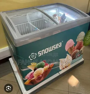 Snowsea Showcase Freezer Sn368gf (300 Liters)